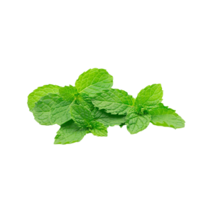 Mint