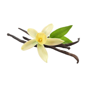 Vanilla